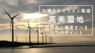 台中の観光スポット高美湿地へ行く際の注意点