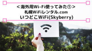 いつどこWi-Fi(Skyberry)